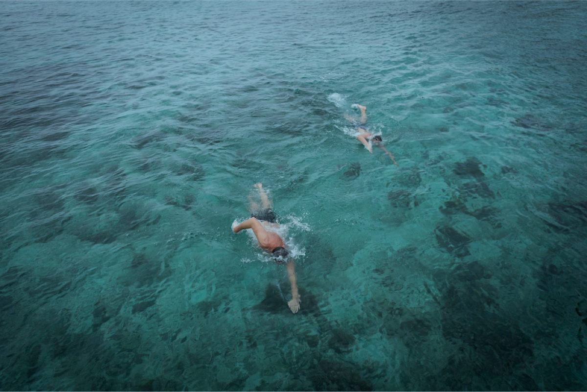 Ocean Swim Fiji - Blog - Dive into your 3 swims in paradise!