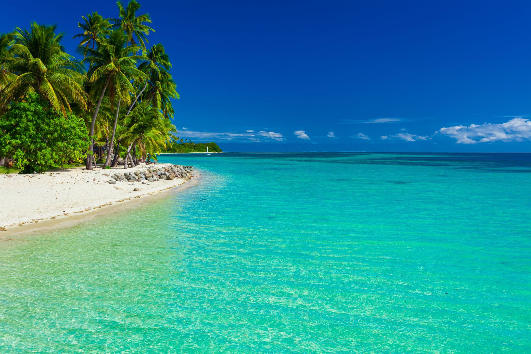 Ocean Swim Fiji - All-inclusive  Packages
