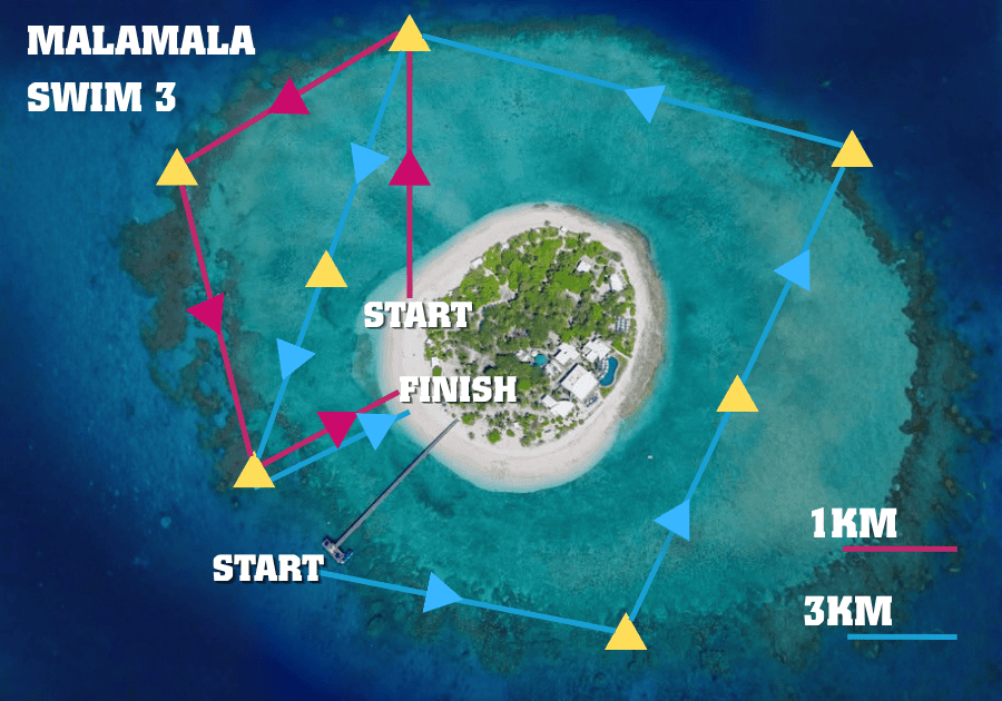 malamala swims (2)